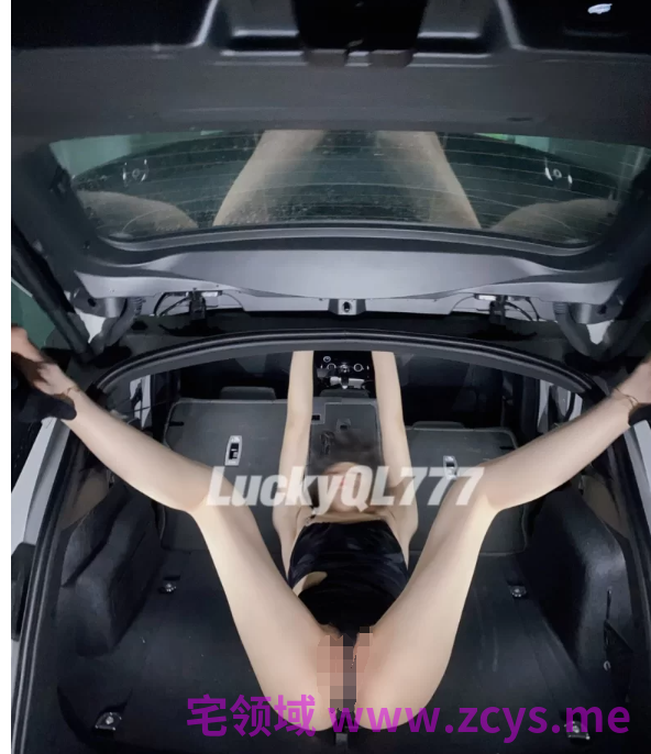 LuckyQL777超大合集 [nvnp+134.7GB][百度盘]