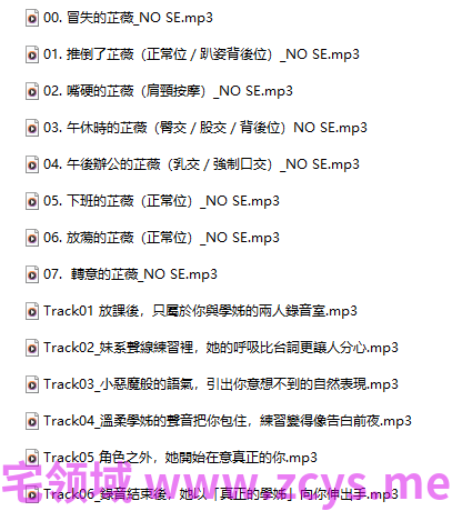 晚晚18+音频+晚晚配音中 333M百度盘