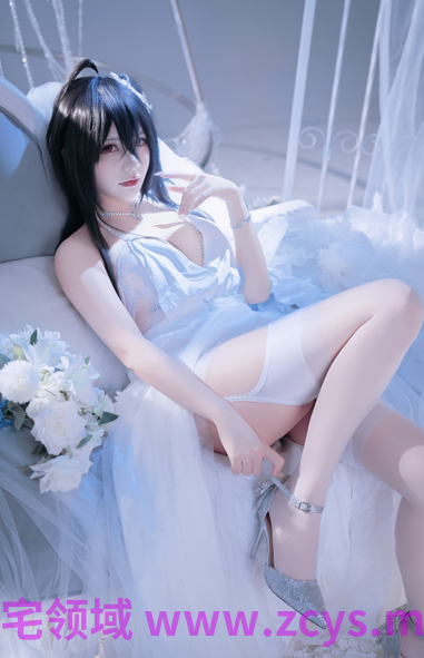是一只熊仔吗 - 碧蓝航线 大凤 泳装+兔女郎+花嫁 【150P 224MB】