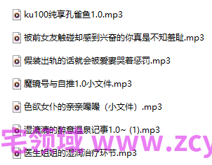 香取绮罗 7A396M百度盘