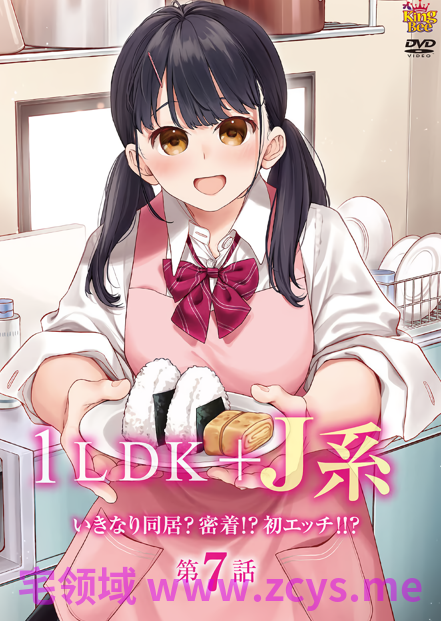 2026年06月里番合集  【9v 11.2gb】