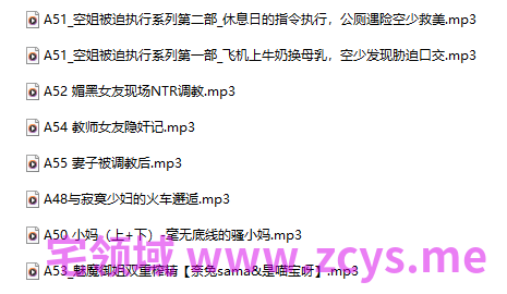奈兔sam 18+音频 598M百度盘