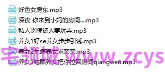 NO.2597 脂肪酸金属盐 少女音音声小合集 6A