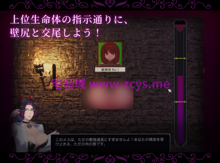 【像素SLG】カスタム機能付き！ 強○交尾 壁尻実験室 ～上位女性に支配される孕ませ種付け実験～DL版[生肉]
