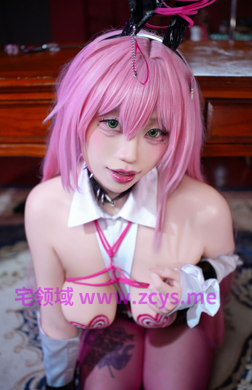 叉烧hibiki - 薇尔维特【99P 100MB】