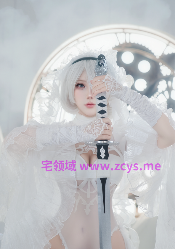 CatDemon喵崽 NO.031 尼尔·机械纪元 2B 狂野新娘 【78P1.9G】