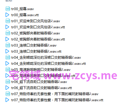 NO.2900 RJ01565395【口交＆吞精特化】口部侍奉专家的5种口交 5.09G