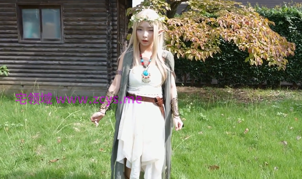FAYS-011 异世界精灵Cosplay 【1V3.83G】