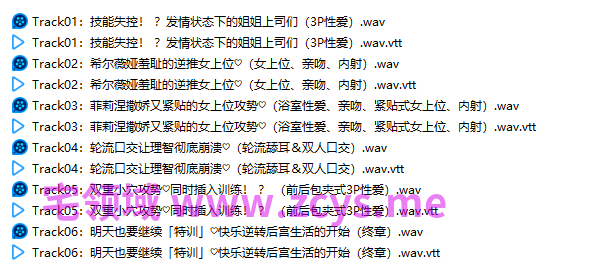 NO.3102 RJ01524818【双人女骑士后宫2】用色色的新技能持续发情暴走 由姐姐上司们带来无止尽的双重小穴特训 1.55G