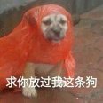 凯子老色批