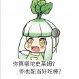 好吃棒鸭