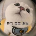 还得是骚御