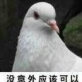 粉崽