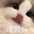 一只小咸鱼
