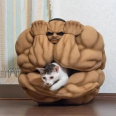 肉球封印术