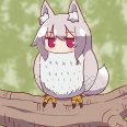 雪鸮