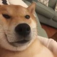 朗