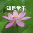 无望