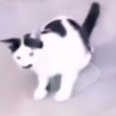 鬼畜和真