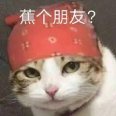 维达湿纸巾