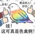 萌白萝莉
