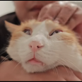 疾病3