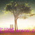 ZYU